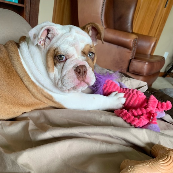 Our Baby Girl Miss Bella B - Picture 13 of 16